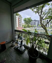 Mayfair Gardens (D21), Condominium #541109951